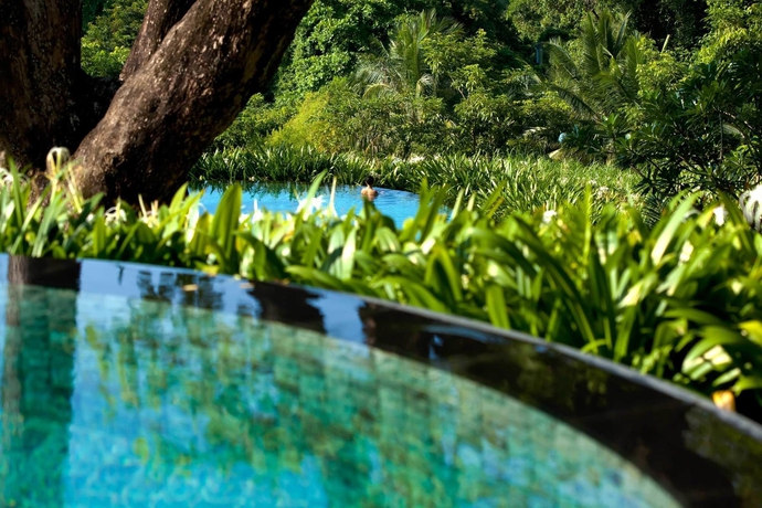 Imagen de la piscina del Hotel Capella Singapore. Foto 16