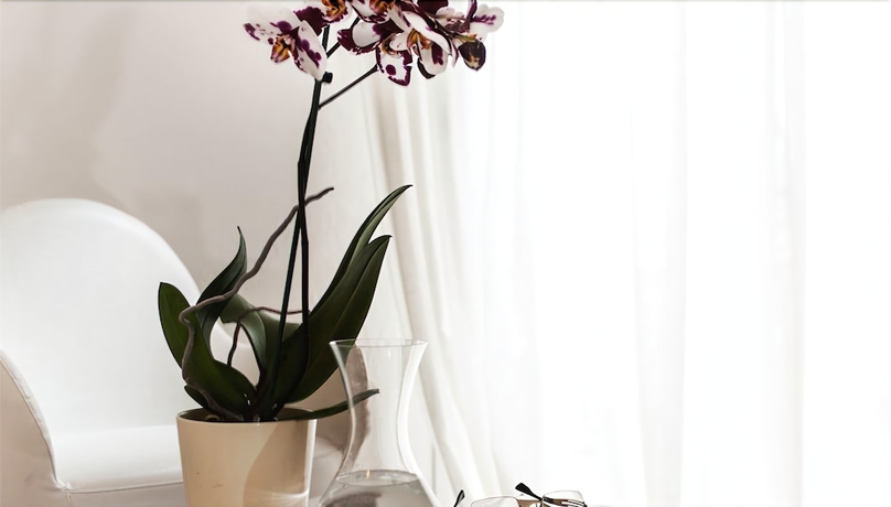 Imagen de la habitación del Hotel Capinera. Foto 11