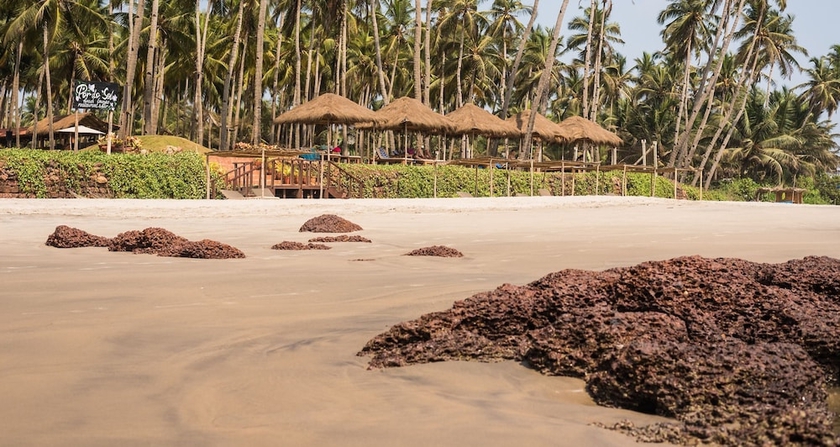 Imagen general del Hotel Capital O 41974 Casa de Siolim. Foto 4