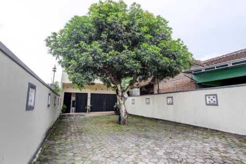 Imagen general del Hotel Capital O 93716 Family Guesthouse Syariah. Foto 3