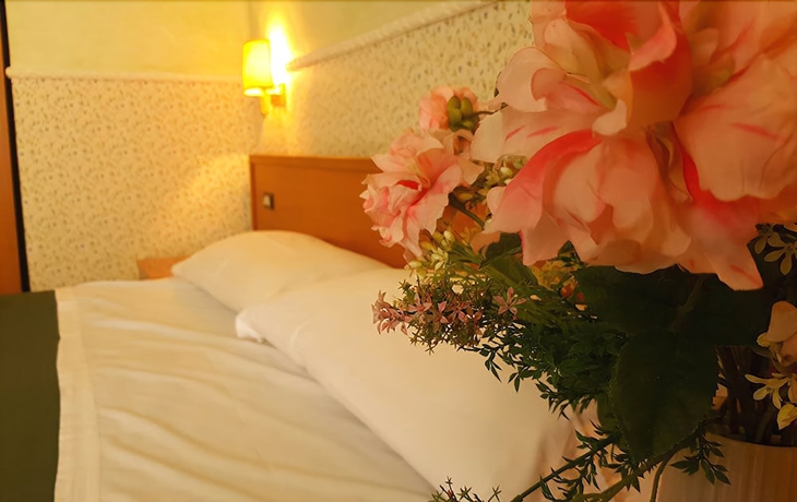 Imagen de la habitación del Hotel Capitol, Roma. Foto 9