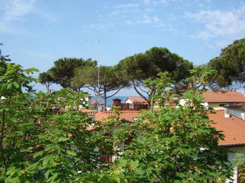 Imagen general del Hotel Caprice, Massa. Foto 3