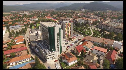 Imagen general del Hotel Caprioara. Foto 2