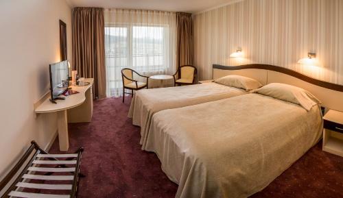 Imagen de la habitación del Hotel Caprioara. Foto 6