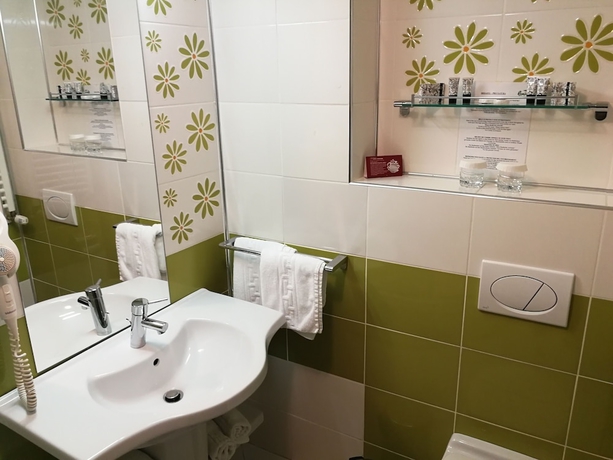 Imagen de la habitación del Hotel Caprioara Spaandwellness Resort. Foto 12