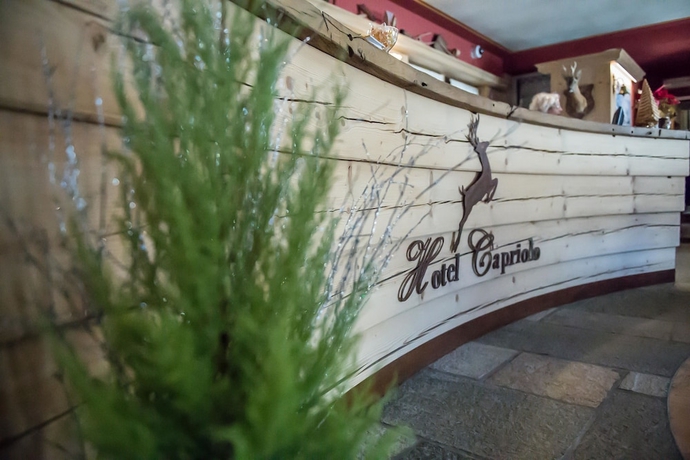 Imagen de los interiores del Hotel Capriolo, Teola. Foto 19