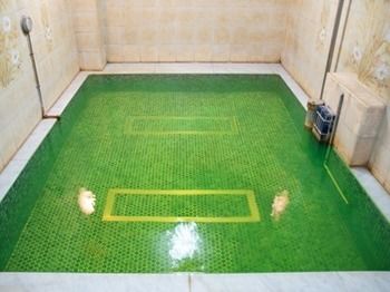 Imagen de la piscina del Hotel Capsule Inn Kinshicho. Foto 8