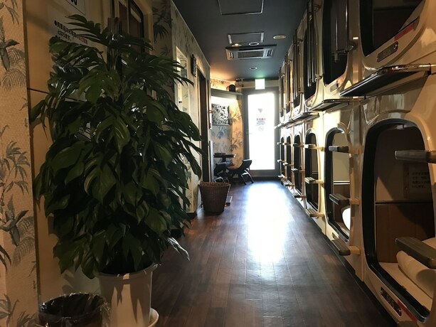 Imagen general del Hotel Capsule Inn Shimbashi - Men Only. Foto 13