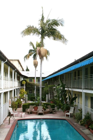 Imagen de la piscina del Hotel Cara, Los &Aacute;ngeles. Foto 8