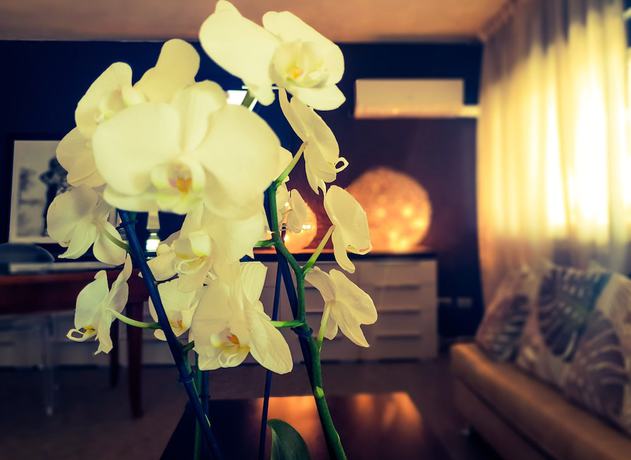 Imagen de los interiores del Hotel Caraibi, Cervia. Foto 15