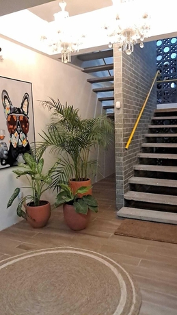 Imagen de los interiores del Hotel Carambola Coliving. Foto 16