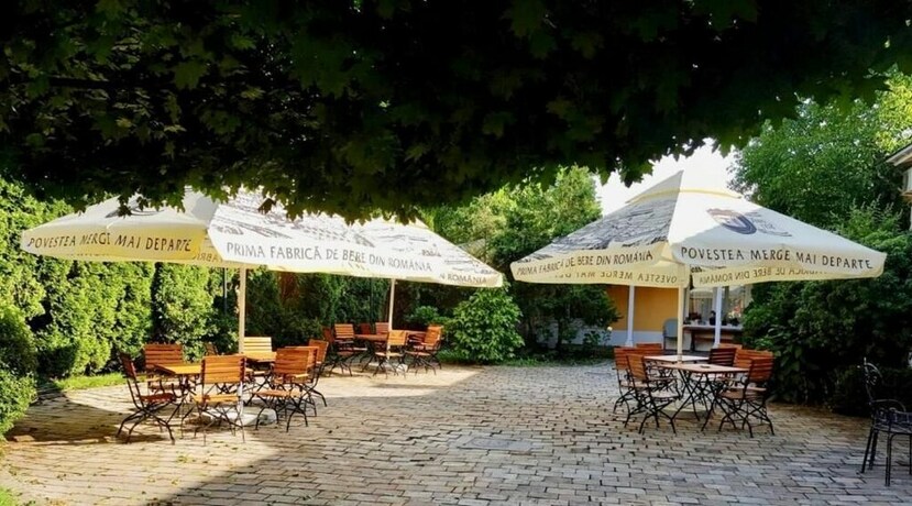 Imagen general del Hotel Caransebeș. Foto 9