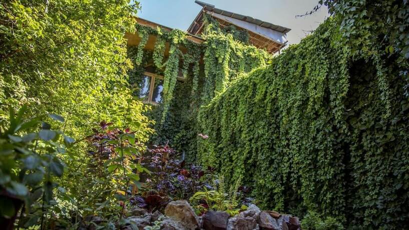 Imagen general del Hotel Caravan Serail. Foto 7