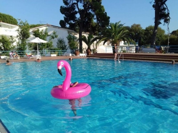 Imagen de la piscina del Hotel Caravos. Foto 18
