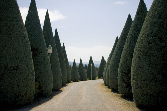 Imagen de los exteriores del Hotel Carcarille - Restaurant Le C. Foto 10