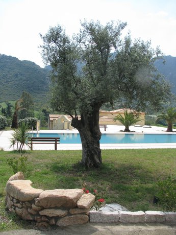 Imagen de la piscina del Hotel Cardedu. Foto 20