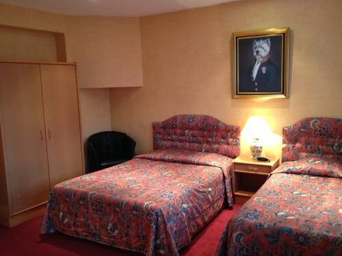 Imagen de la habitación del Hotel Cardiff. Foto 8