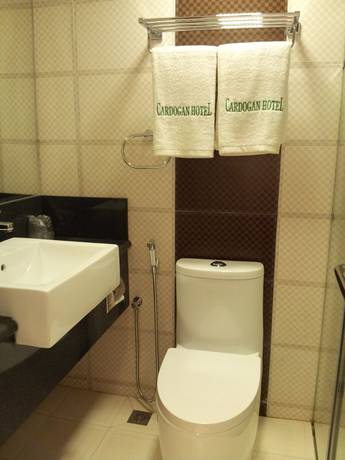 Imagen de la habitación del Hotel Cardogan. Foto 3