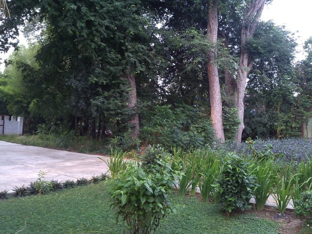 Imagen de la habitación del Hotel Carereen Boutique Resort. Foto 14