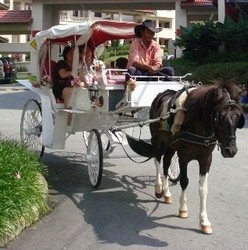 Imagen general del Hotel Caribbean Bay Resort - Bukit Gambang Resort City. Foto 3