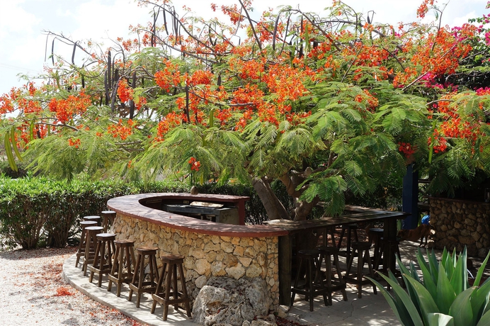 Imagen de los exteriores del Hotel Caribbean Chillout. Foto 15