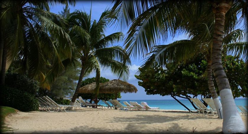 Imagen de la habitación del Hotel Caribbean Club Luxury Condo. Foto 3