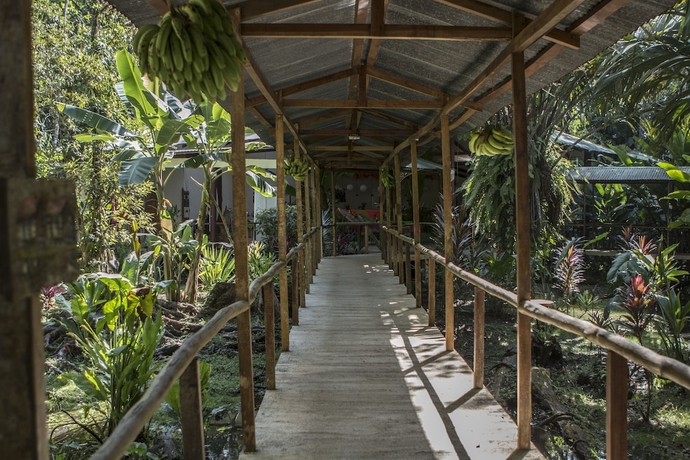 Imagen de los interiores del Hotel Caribbean Paradise Eco-lodge. Foto 19