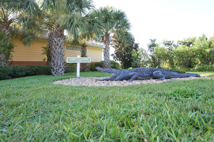 Imagen de los exteriores del Hotel Caribe Cove Resort. Foto 13