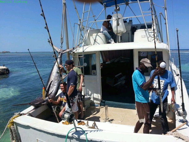 Imagen de los exteriores del Hotel Cariblue Beach. Foto 10