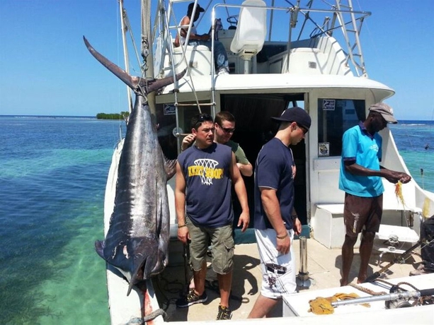 Imagen general del Hotel Cariblue Beach. Foto 3