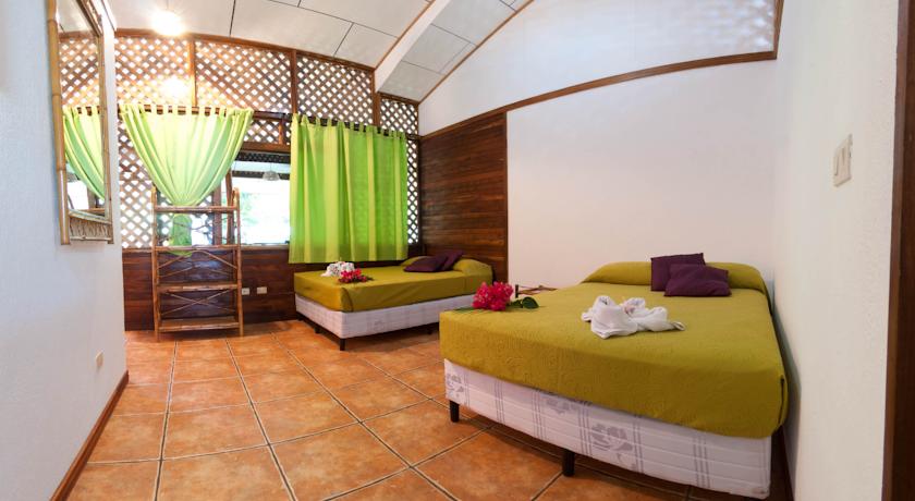 Imagen de la habitación del Hotel Cariblue Beach and Jungle Resort. Foto 6