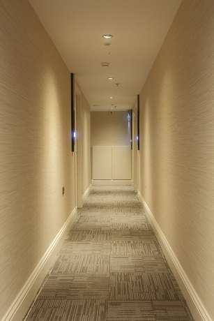 Imagen de los interiores del Hotel Carina Park Suites Nisantasi. Foto 15
