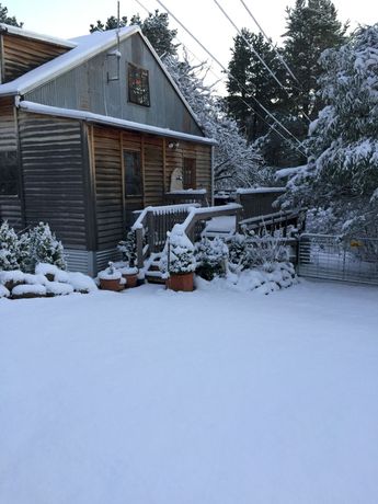 Imagen general del Hotel Carinya Village Jindabyne. Foto 3