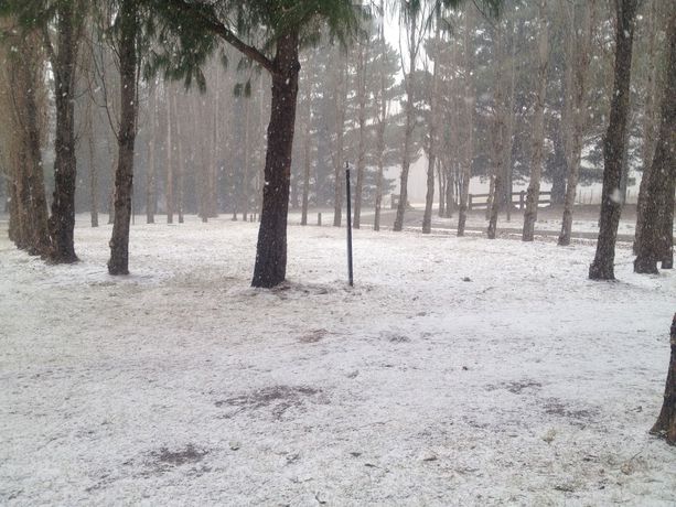 Imagen de los exteriores del Hotel Carinya Village Jindabyne. Foto 16