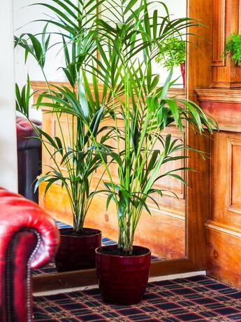 Imagen general del Hotel Carlton House. Foto 10