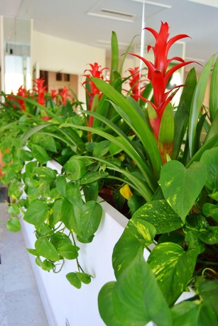 Imagen de los interiores del Hotel Carlton International. Foto 10