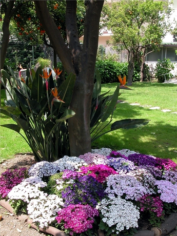 Imagen de los exteriores del Hotel Carlton International. Foto 9