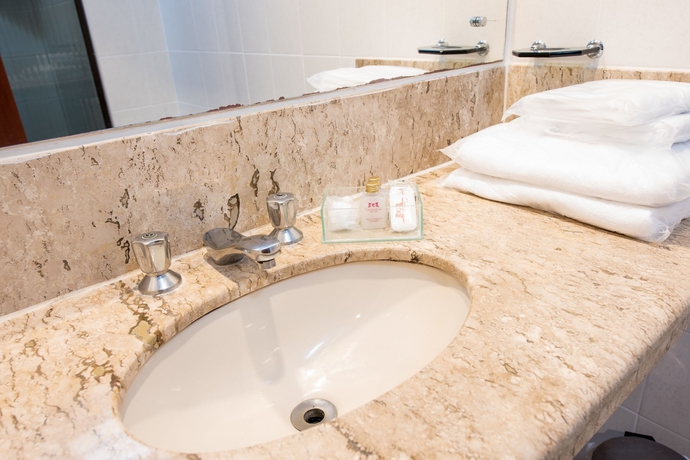 Imagen de la habitación del Hotel Carlton Plaza. Foto 16