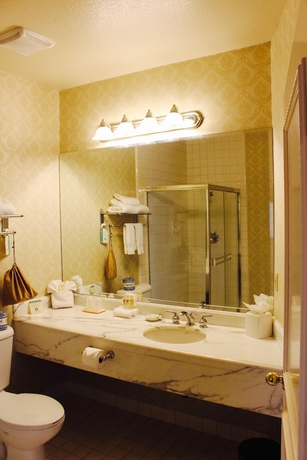 Imagen de la habitación del Hotel Carlyle. Foto 13