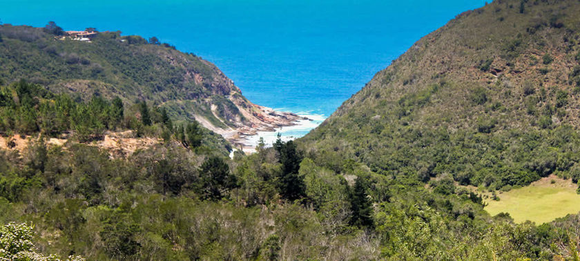 Imagen del bar/restaurante del Hotel Carmel Guest Farm. Foto 7