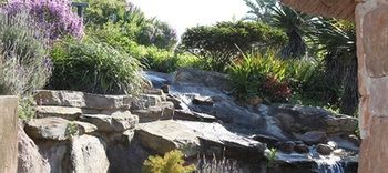 Imagen de los exteriores del Hotel Carmel Guest Farm. Foto 11