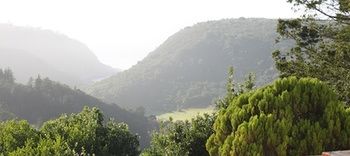 Imagen de los exteriores del Hotel Carmel Guest Farm. Foto 12