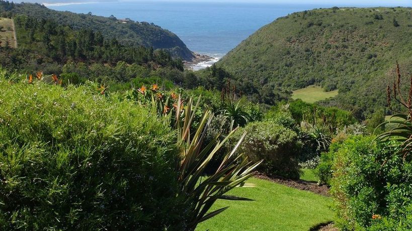 Imagen de los exteriores del Hotel Carmel Guest Farm. Foto 15