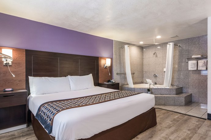 Imagen de la habitación del Hotel Carmel Hill Lodge. Foto 16