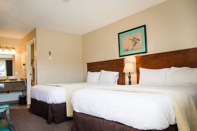 Imagen de la habitación del Hotel Carmel Inn. Foto 6