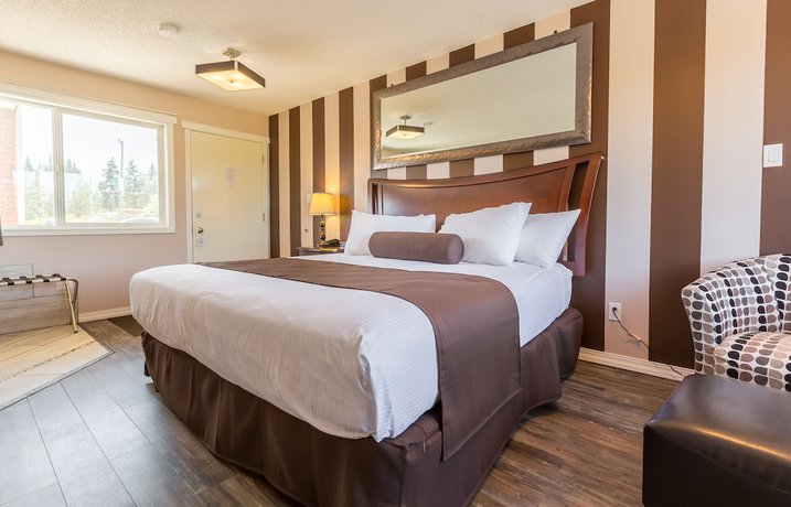 Imagen de la habitación del Hotel Carmel Inn. Foto 15