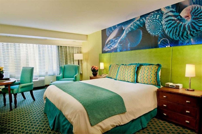 Imagen de la habitación del Hotel Carmel Mission Inn. Foto 3