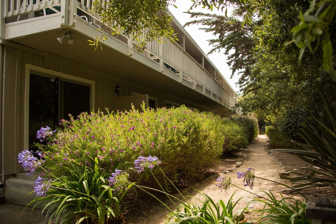 Imagen de los exteriores del Hotel Carmel River Inn. Foto 15