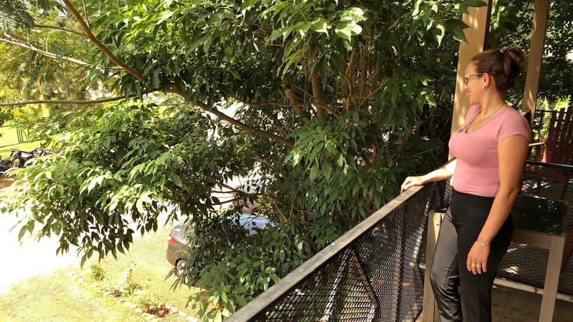 Imagen de la habitación del Hotel Carmen, Comunidad Aborigen Yryapú. Foto 13