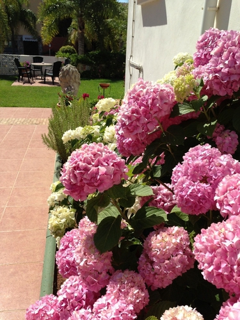 Imagen de los exteriores del Hotel Carmen Teresa. Foto 14